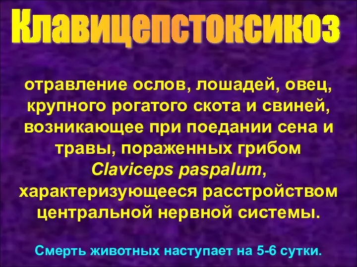 Клавицепстоксикоз отравление ослов, лошадей, овец, крупного рогатого скота и свиней,