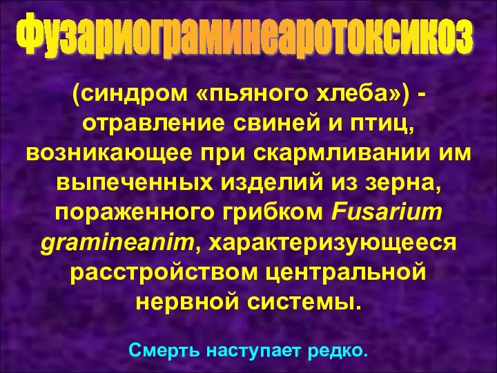 Фузариограминеаротоксикоз (синдром «пьяного хлеба») - отравление свиней и птиц, возникающее