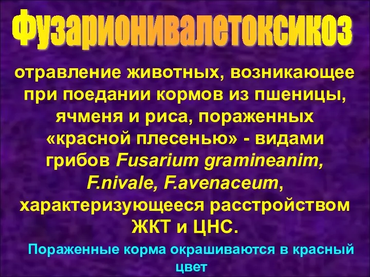 Фузарионивалетоксикоз отравление животных, возникающее при поедании кормов из пшеницы, ячменя и риса, пораженных