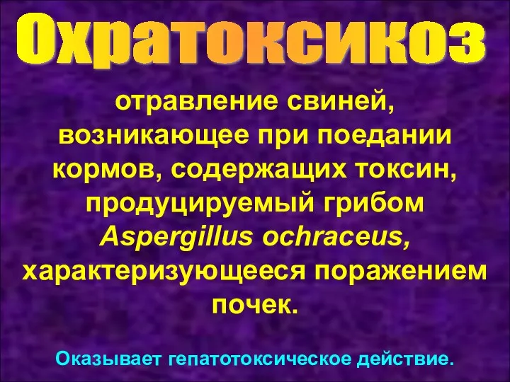 Охратоксикоз отравление свиней, возникающее при поедании кормов, содержащих токсин, продуцируемый грибом Aspergillus ochraceus,