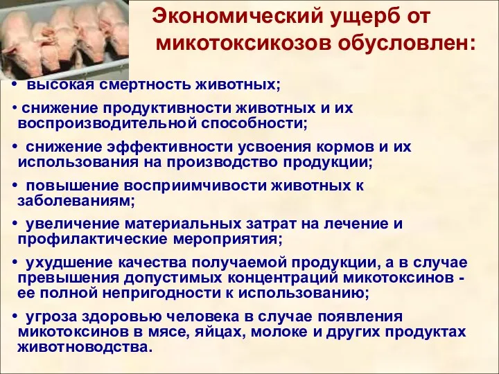 Экономический ущерб от микотоксикозов обусловлен: высокая смертность животных; снижение продуктивности животных и их