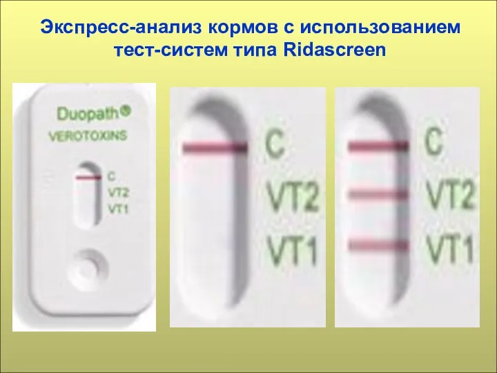 Экспресс-анализ кормов с использованием тест-систем типа Ridascreen