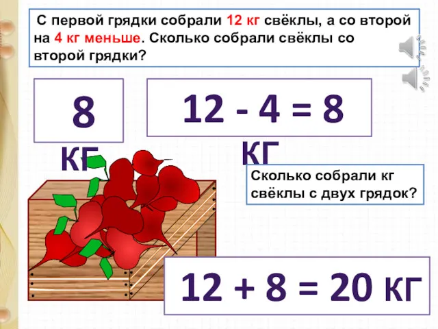 С первой грядки собрали 12 кг свёклы, а со второй