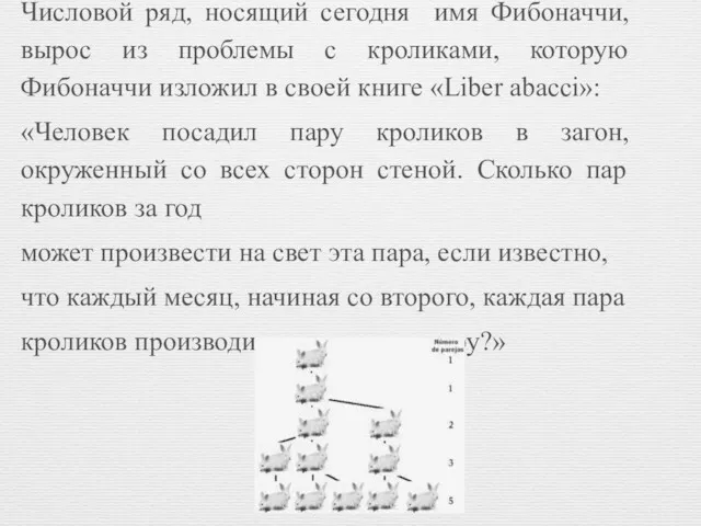 Числовой ряд, носящий сегодня имя Фибоначчи, вырос из проблемы с