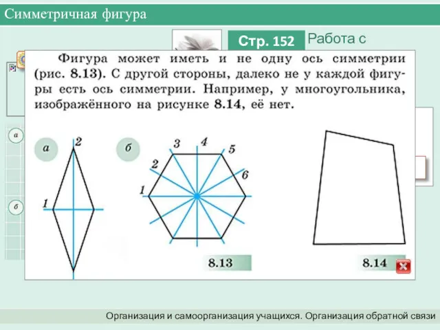 Симметричная фигура Организация и самоорганизация учащихся. Организация обратной связи Симметричная