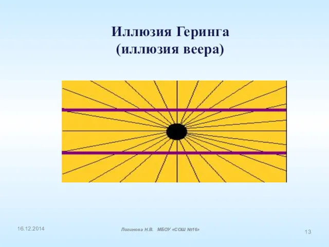 Иллюзия Геринга (иллюзия веера) 16.12.2014 Логинова Н.В. МБОУ «СОШ №16»