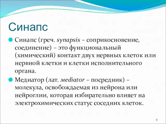 Синапс Синапс (греч. synapsis – соприкосновение, соединение) – это функциональный