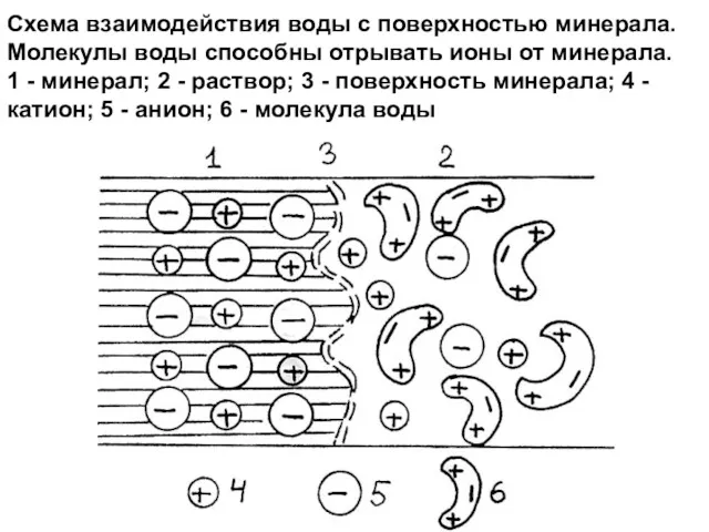 Схема взаимодействия воды с поверхностью минерала. Молекулы воды способны отрывать