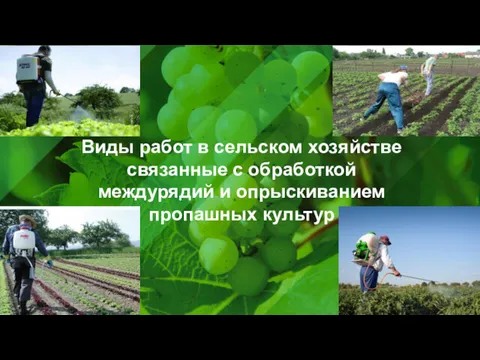 Виды работ в сельском хозяйстве связанные с обработкой междурядий и опрыскиванием пропашных культур