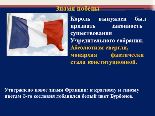 Утверждено новое знамя Франции: к красному и синему цветам 3-го