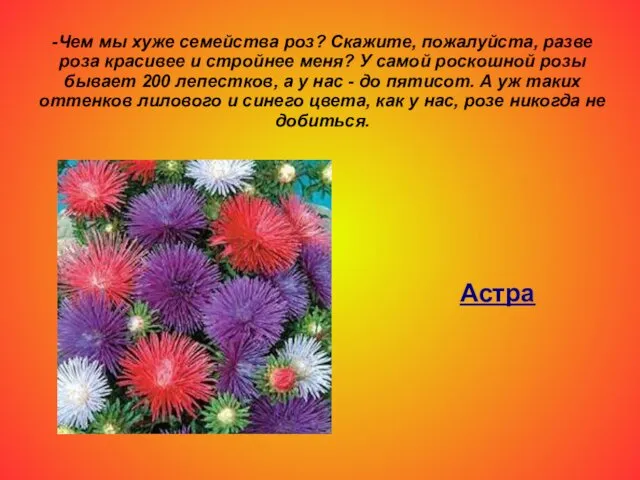 -Чем мы хуже семейства роз? Скажите, пожалуйста, разве роза красивее