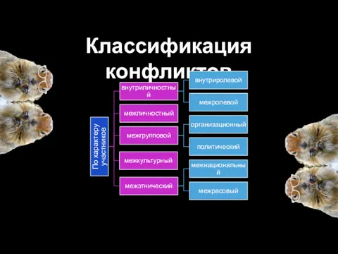 Классификация конфликтов