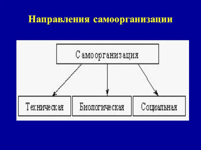 Направления самоорганизации