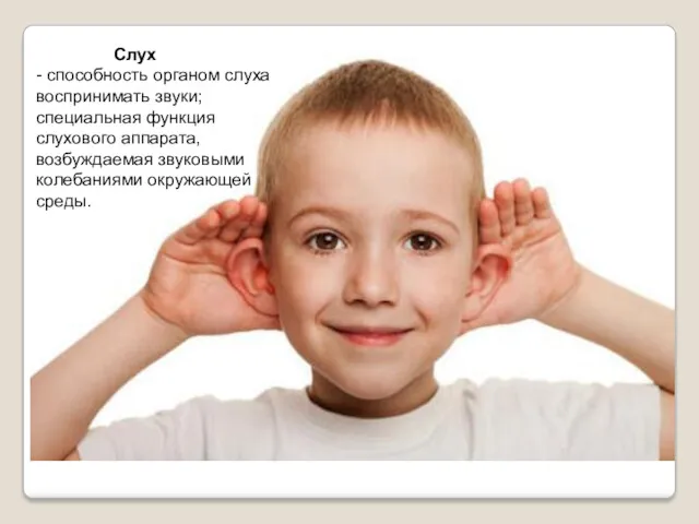 Слух - способность органом слуха воспринимать звуки; специальная функция слухового аппарата, возбуждаемая звуковыми колебаниями окружающей среды.