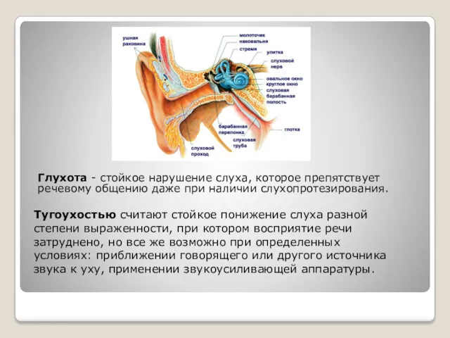 Глухота - стойкое нарушение слуха, которое препятствует речево­му общению даже при наличии слухопротезирования.