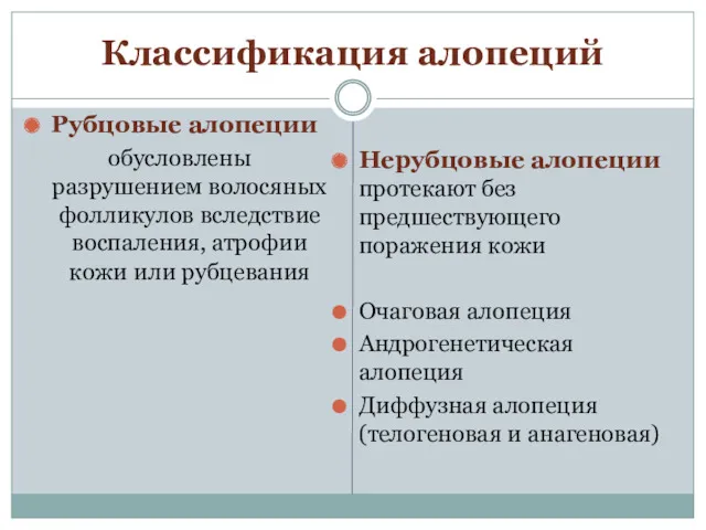 Классификация алопеций Рубцовые алопеции обусловлены разрушением волосяных фолликулов вследствие воспаления,