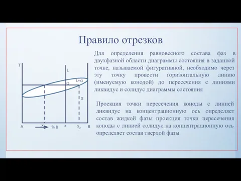 Правило отрезков Для определения равновесного состава фаз в двухфазной области