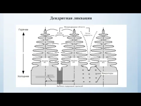 Дендритная ликвация