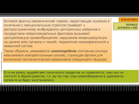 Лекция №4: Синдром длительного сдавления ПАТОГЕНЕЗ ПЕРИОД КОМПРЕССИИ Болевой фактор