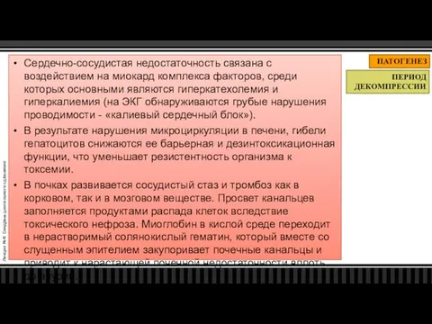 Лекция №4: Синдром длительного сдавления ПАТОГЕНЕЗ ПЕРИОД ДЕКОМПРЕССИИ Сердечно-сосудистая недостаточность