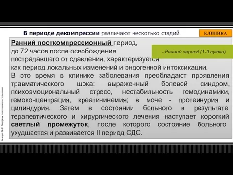 Лекция №4: Синдром длительного сдавления КЛИНИКА В периоде декомпрессии различают