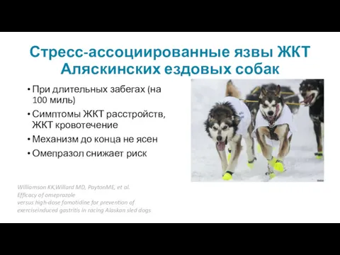 Стресс-ассоциированные язвы ЖКТ Аляскинских ездовых собак При длительных забегах (на 100 миль) Симптомы