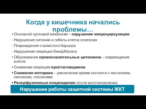 Когда у кишечника начались проблемы… Основной пусковой механизм – нарушение микроциркуляции Нарушение питания