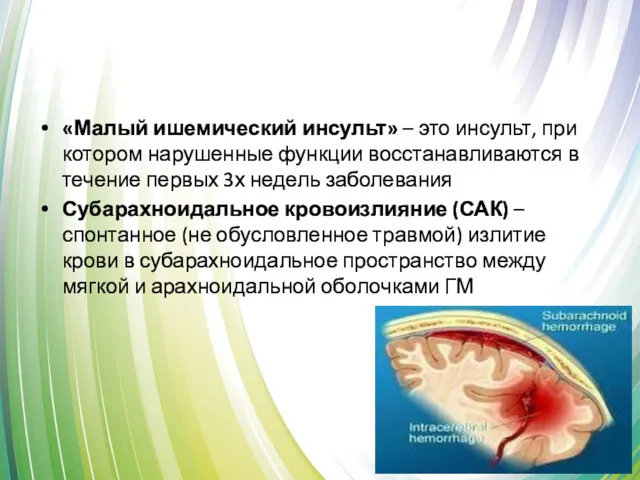 «Малый ишемический инсульт» – это инсульт, при котором нарушенные функции