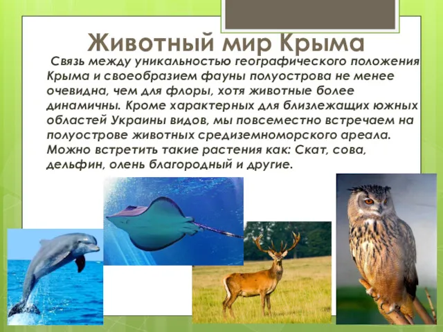 Животный мир Крыма Связь между уникальностью географического положения Крыма и своеобразием фауны полуострова