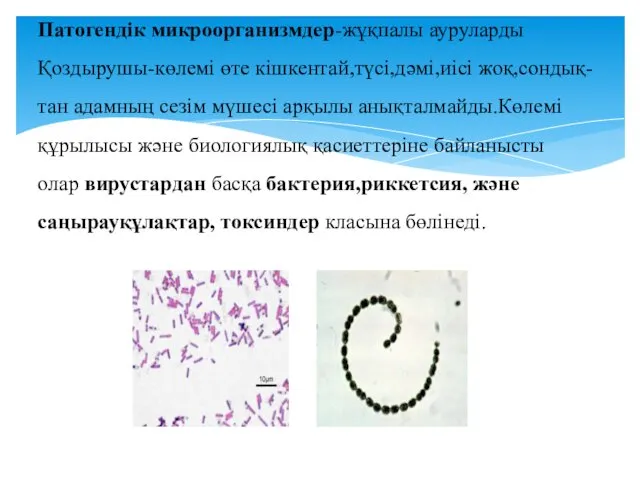 Патогендік микроорганизмдер-жұқпалы ауруларды Қоздырушы-көлемі өте кішкентай,түсі,дәмі,иісі жоқ,сондық- тан адамның сезім