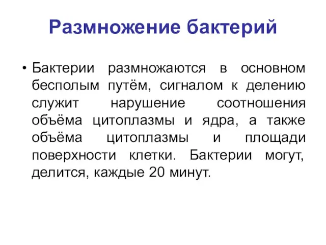 Размножение бактерий Бактерии размножаются в основном бесполым путём, сигналом к