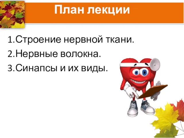 План лекции 1.Строение нервной ткани. 2.Нервные волокна. 3.Синапсы и их виды.