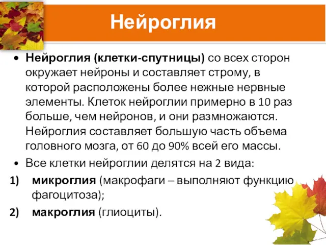 Нейроглия Нейроглия (клетки-спутницы) со всех сторон окружает нейроны и составляет