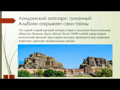 Лондонский зоопарк: туманный Альбион открывает свои тайны Это самый старый