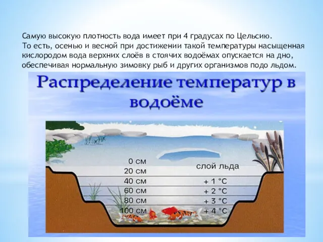 Самую высокую плотность вода имеет при 4 градусах по Цельсию.