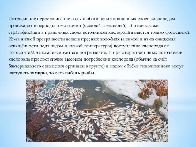 Интенсивное перемешивание воды и обогащение придонных слоёв кислородом происходит в