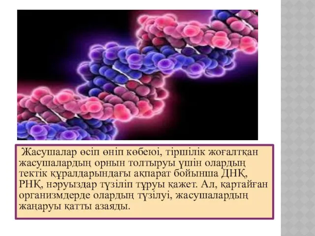 Жасушалар өсіп өніп көбеюі, тіршілік жоғалтқан жасушалардың орнын толтыруы үшін