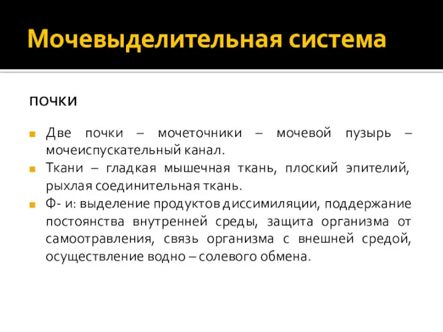 Мочевыделительная система ПОЧКИ Две почки – мочеточники – мочевой пузырь