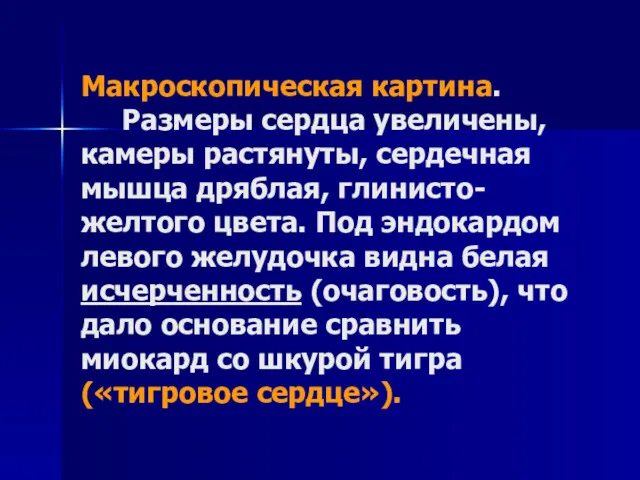 Макроскопическая картина. Размеры сердца увеличены, камеры растянуты, сердечная мышца дряблая,