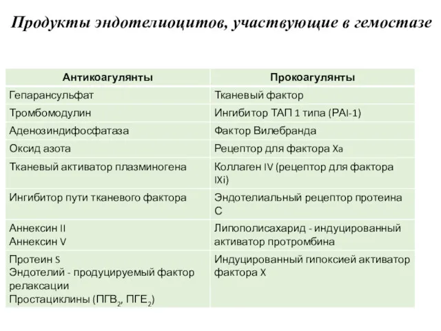 Продукты эндотелиоцитов, участвующие в гемостазе