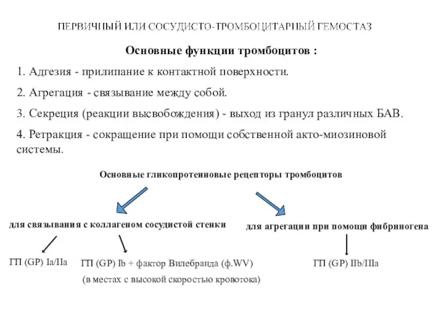 Основные функции тромбоцитов : 1. Адгезия - прилипание к контактной