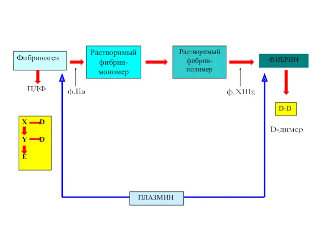 Фибриноген Растворимый фибрин-мономер Растворимый фибрин-полимер ФИБРИН ПЛАЗМИН D-D