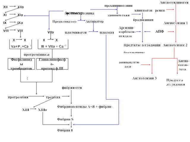 Фосфолипиды тромбоцитов Гликолипофосфо- протеид ф.III АПФ