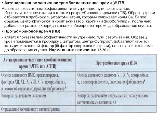 Активированное частичное тромбопластиновое время (АЧТВ) Является показателем эффективности внутреннего пути