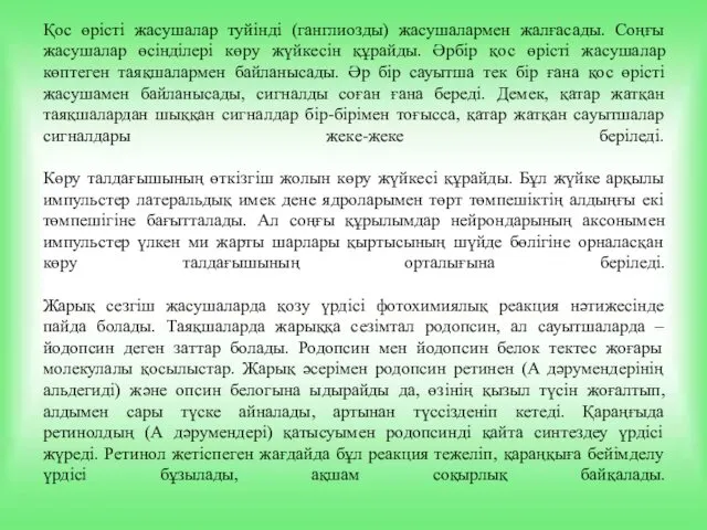 Қос өрісті жасушалар туйінді (ганглиозды) жасушалармен жалғасады. Соңғы жасушалар өсінділері