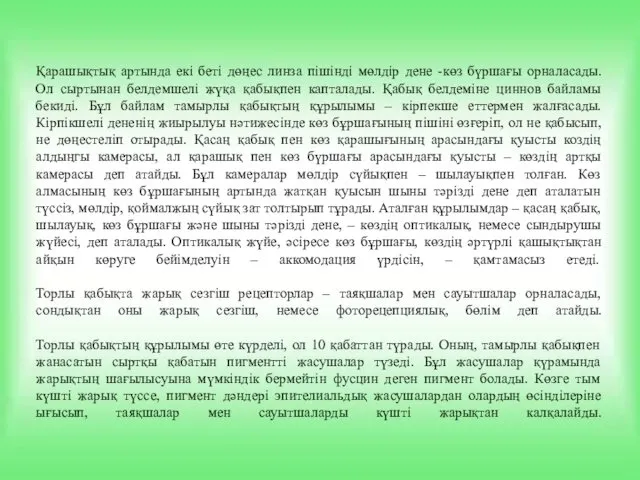 Қарашықтық артында екі беті дөңес линза пішінді мөлдір дене -көз