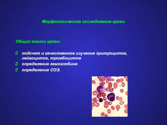 Морфологическое исследование крови Общий анализ крови: подсчет и качественное изучение