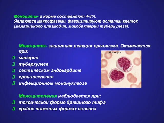 Моноциты- в норме составляют 4-8%. Являются макрофагами, фагоцитируют остатки клеток