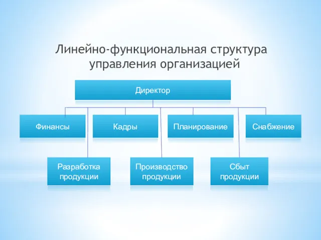 Линейно-функциональная структура управления организацией