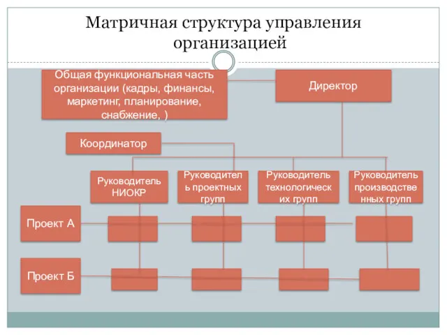 Матричная структура управления организацией